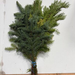 BQ Pine Mix (Mixed Pine Bouquet - 20 BU)