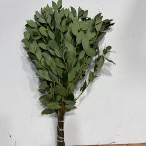 Laurel Leaves (20 BU)